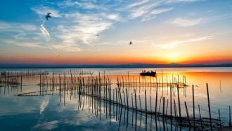 PARQUE NATURAL DE L’ALBUFERA